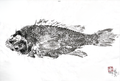 Black Sea Bass Gyotaku