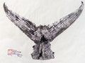 Yellowfin Tuna tail Gyotaku